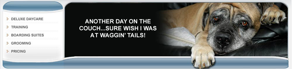 Image Donated by SaMi