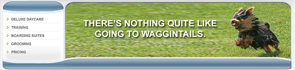 Image Donated by Susi Lawson