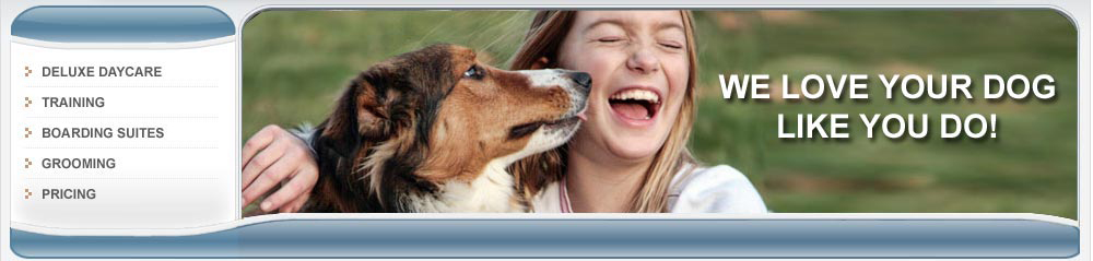 Image Donated by Susi Lawson