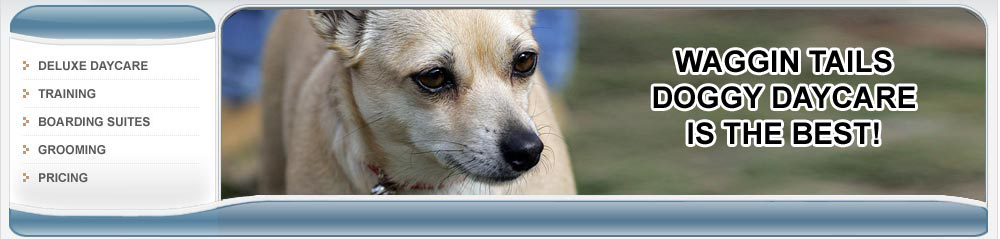 Image Donated by Susi Lawson