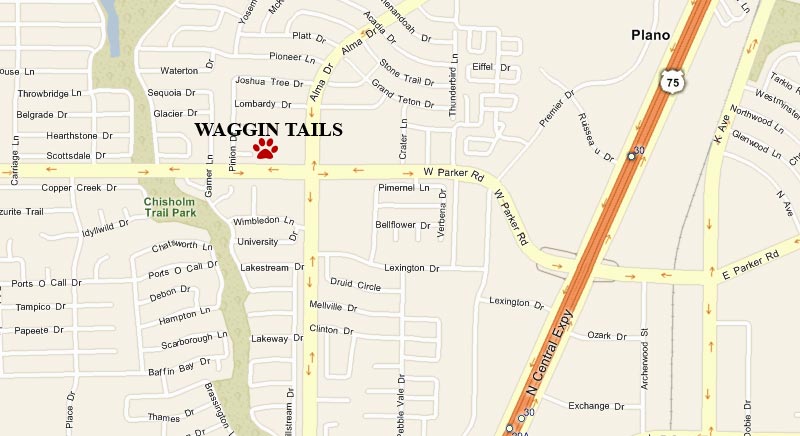Detailed map showing Waggin' Tails location at the corner of Parker and Alma in Plano, Texas