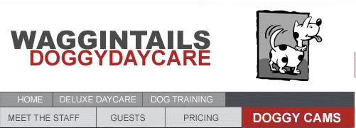 Waggin Tails Daycare